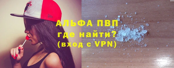 прущие грибы Новокубанск