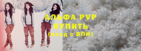 прущие грибы Новокубанск