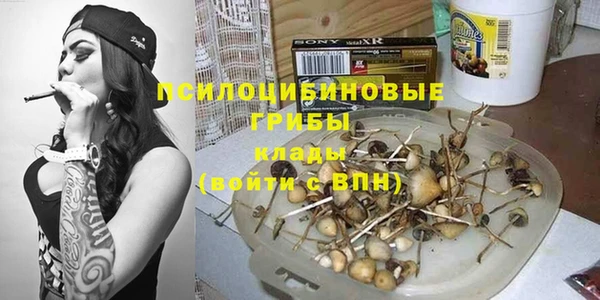 mdpv Новозыбков
