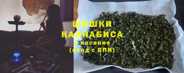 прущие грибы Новокубанск