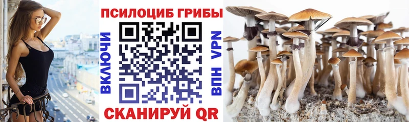 закладки  Уяр  Псилоцибиновые грибы прущие грибы 